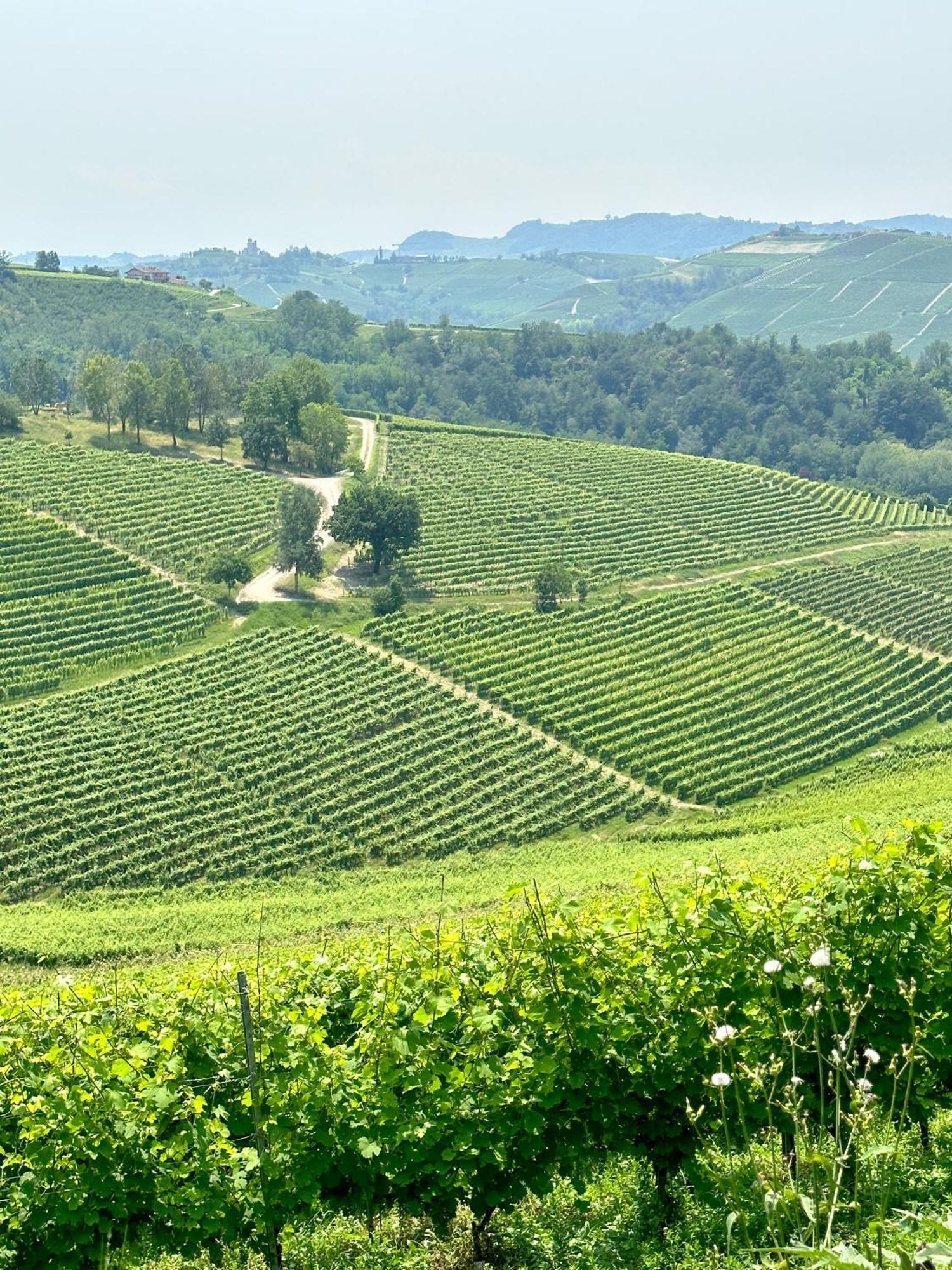 Вилла Just Langhe Casa Barolo Новелло Экстерьер фото