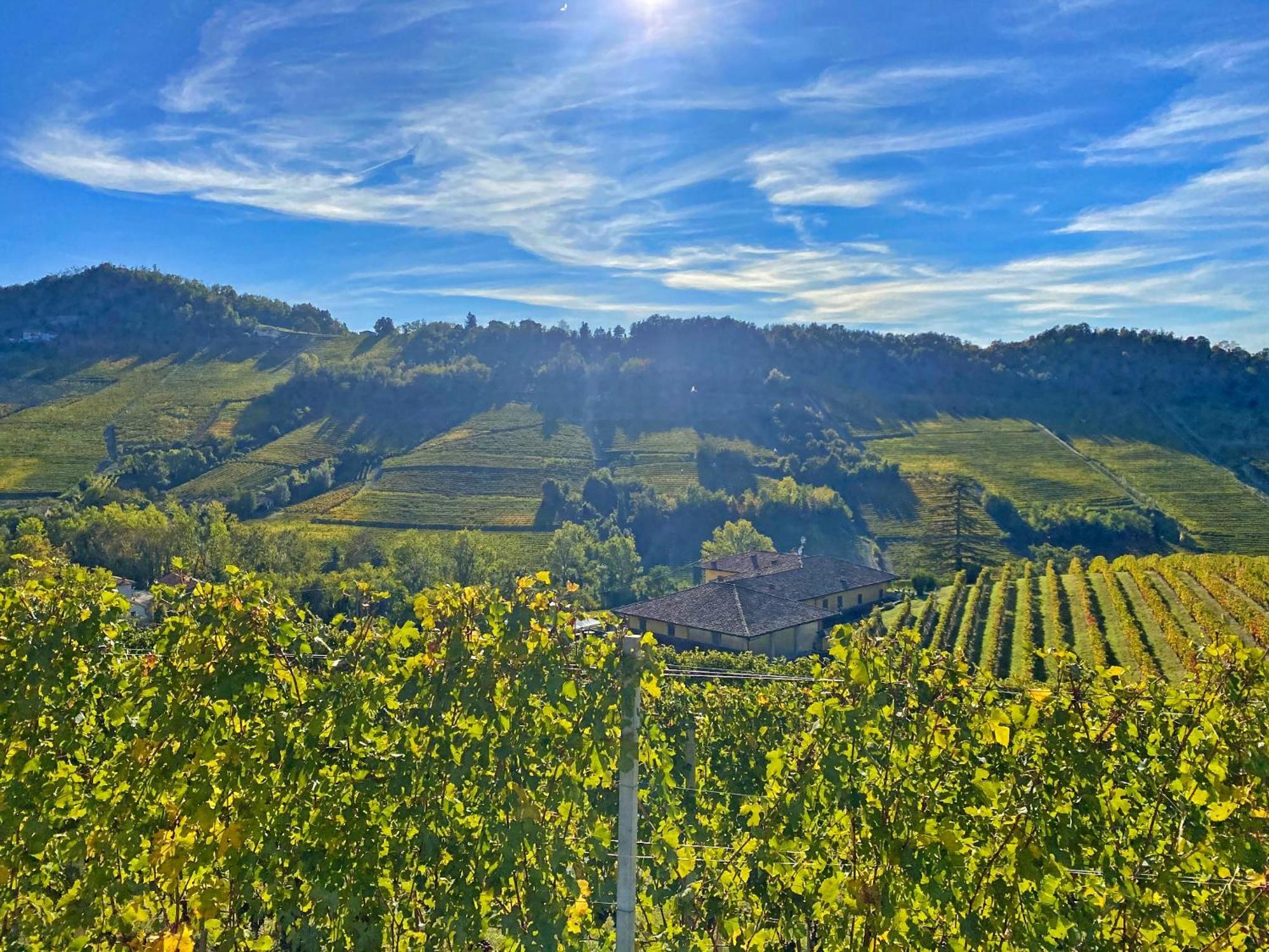 Вилла Just Langhe Casa Barolo Новелло Экстерьер фото
